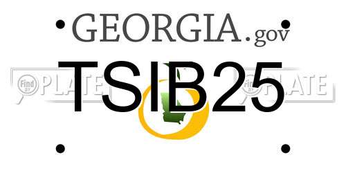 TSIB25 Georgia License Plate