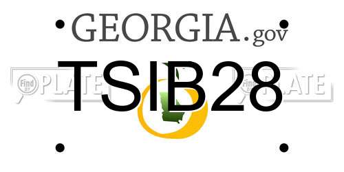 TSIB28 Georgia License Plate