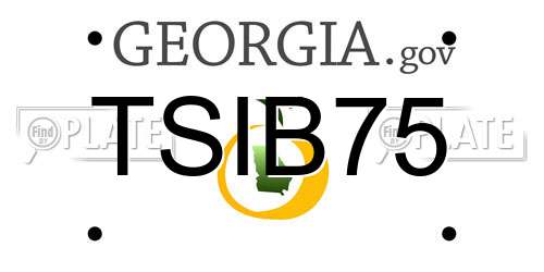 TSIB75 Georgia License Plate