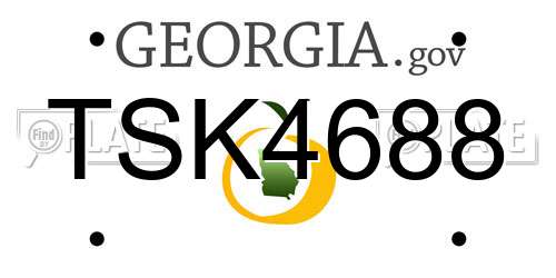 TSK4688 Georgia License Plate