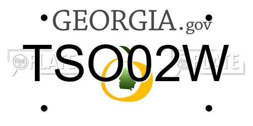TSO02W Georgia License Plate