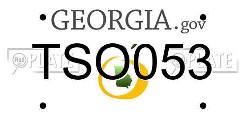 TSO053 Georgia License Plate