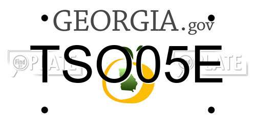 TSO05E Georgia License Plate