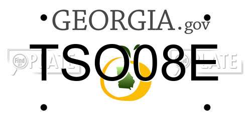 TSO08E Georgia License Plate