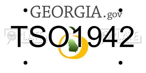 TSO1942 Georgia License Plate