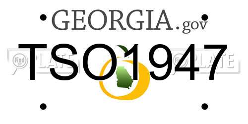 TSO1947 Georgia License Plate