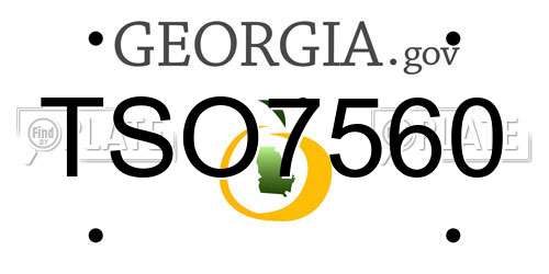 TSO7560 Georgia License Plate