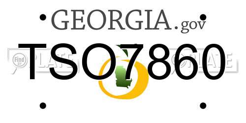 TSO7860 Georgia License Plate