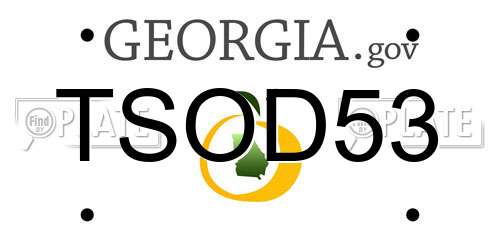 TSOD53 Georgia License Plate