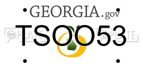 TSOO53 Georgia License Plate