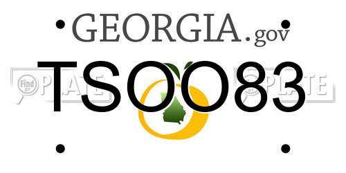 TSOO83 Georgia License Plate