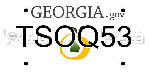 TSOQ53 Georgia License Plate