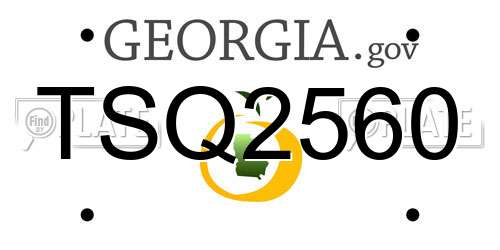 TSQ2560 Georgia License Plate