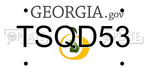 TSQD53 Georgia License Plate