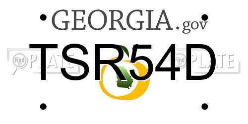 TSR54D Georgia License Plate