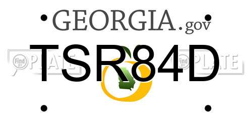 TSR84D Georgia License Plate