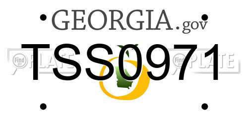 TSS0971 Georgia License Plate