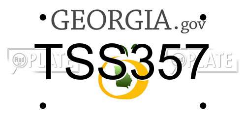TSS357 Georgia License Plate