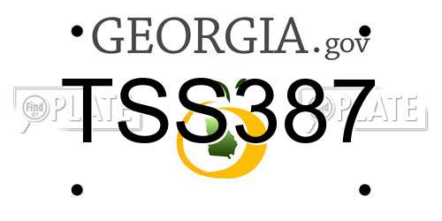 TSS387 Georgia License Plate