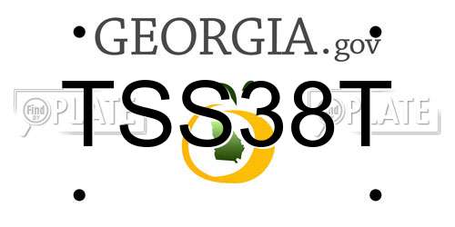 TSS38T Georgia License Plate