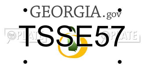 TSSE57 Georgia License Plate