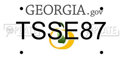 TSSE87 Georgia License Plate