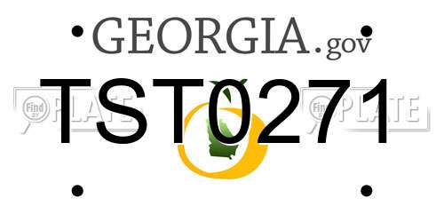 TST0271 Georgia License Plate