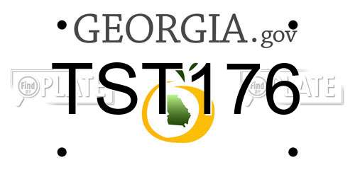 TST176 Georgia License Plate