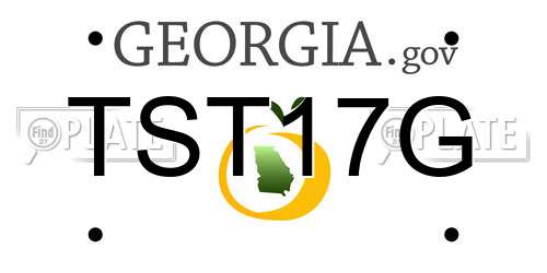 TST17G Georgia License Plate