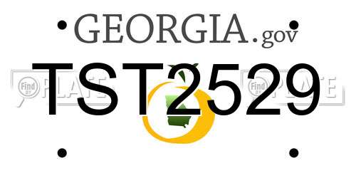 TST2529 Georgia License Plate