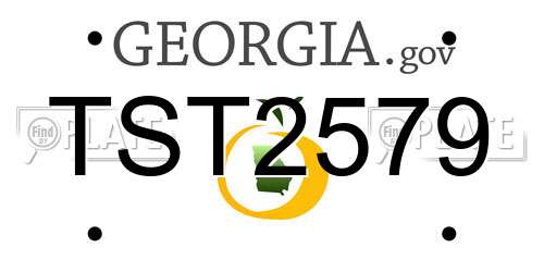 TST2579 Georgia License Plate