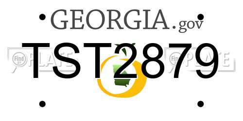 TST2879 Georgia License Plate