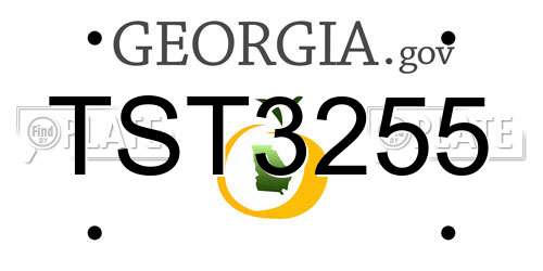 TST3255 Georgia License Plate