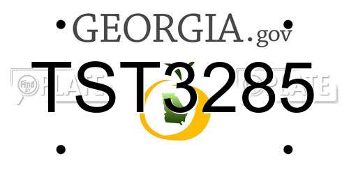 TST3285 Georgia License Plate