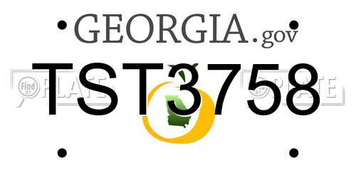 TST3758 Georgia License Plate