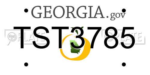 TST3785 Georgia License Plate