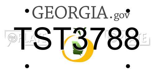 TST3788 Georgia License Plate
