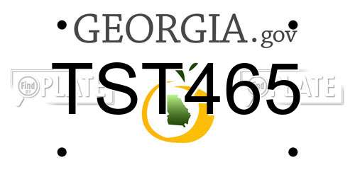 TST465 Georgia License Plate