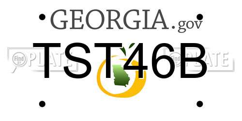 TST46B Georgia License Plate