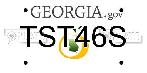 TST46S Georgia License Plate