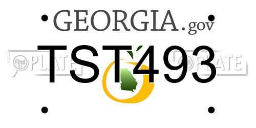 TST493 Georgia License Plate