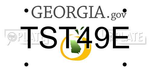TST49E Georgia License Plate