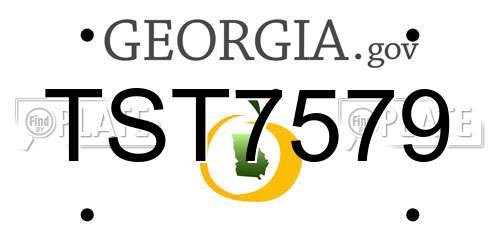 TST7579 Georgia License Plate