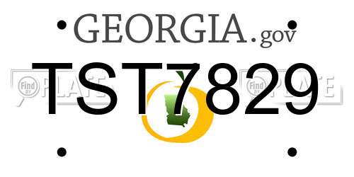 TST7829 Georgia License Plate