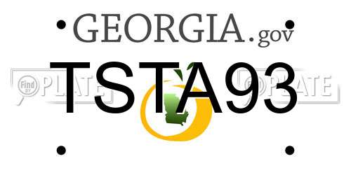 TSTA93 Georgia License Plate
