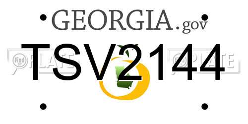 TSV2144 Georgia License Plate