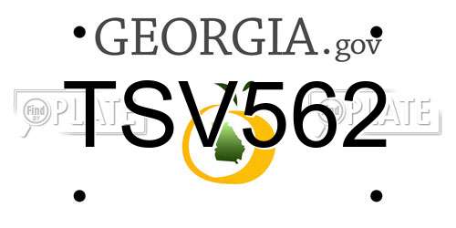 TSV562 Georgia License Plate