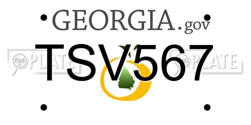 TSV567 Georgia License Plate