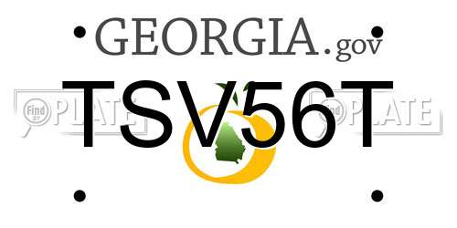 TSV56T Georgia License Plate