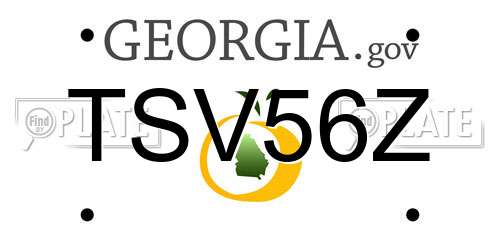 TSV56Z Georgia License Plate